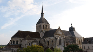 Traitement punaises de lit Fleury-les-Aubrais